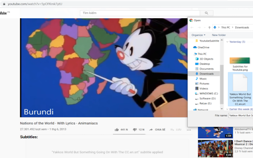 Subtitles for Youtube screenshot