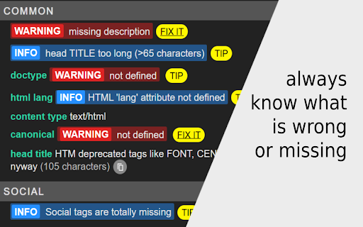META SEO inspector screenshot