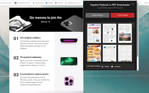 Heyzine Flipbook to PDF Downloader screenshot