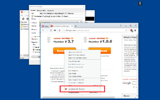 Download with FlashGet™ screenshot