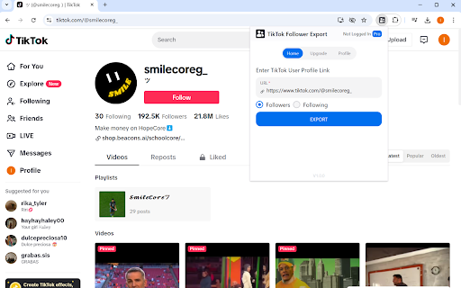 TikTok Follower Export Tool screenshot