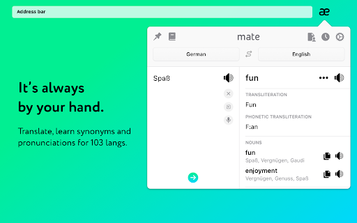Mate Translate – translator, dictionary screenshot