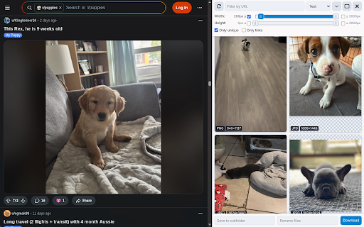Image Downloader screenshot