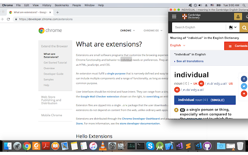 Cambridge Dictionary Lookup screenshot