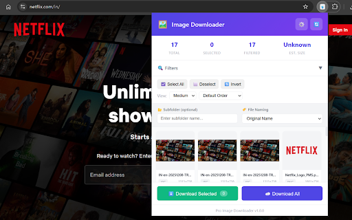 Image Downloader - Bulk Image Downloader & Filter screenshot