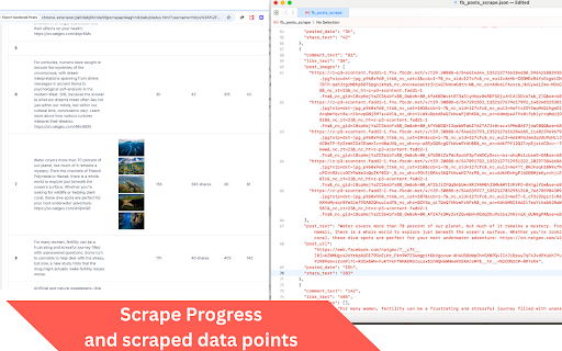 Posts Scraper - Export posts from pages , groups and accounts screenshot