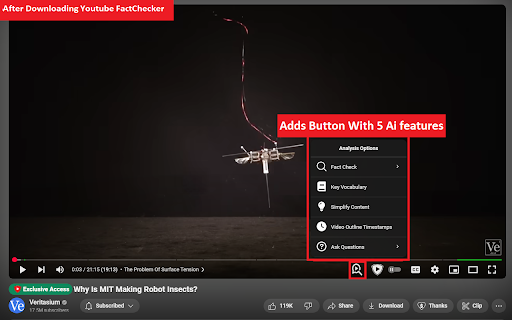Youtube AI Companion screenshot