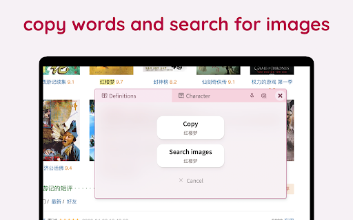 LingLook screenshot