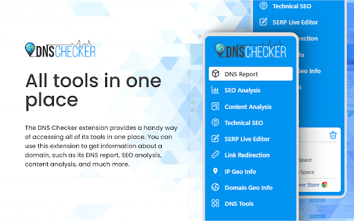 DNS Checker - SEO and Domain Analysis screenshot