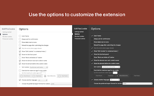 EditThisCookie (fork) screenshot