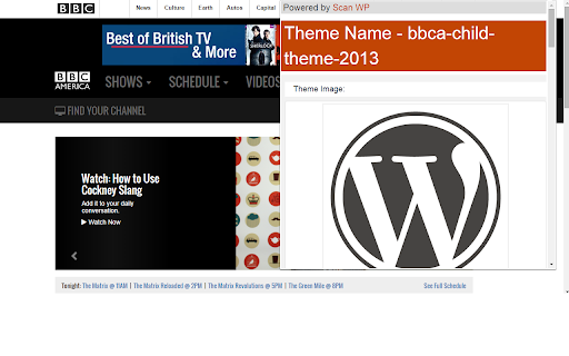 Scan WP - WordPress Theme and Plugin Detector screenshot