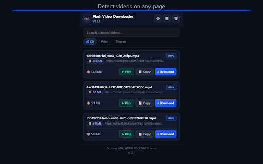 Flash Video Downloader screenshot