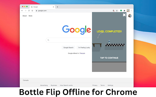 Bottle Flip Offline screenshot