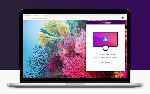 Promethean® Screen Share screenshot