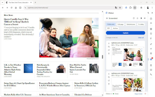 Eflatun screenshot