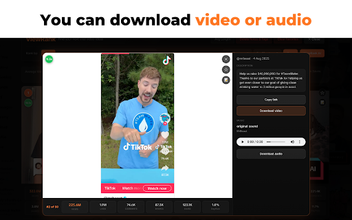 ViewRank - Sort Instagram and TikTok videos and posts screenshot