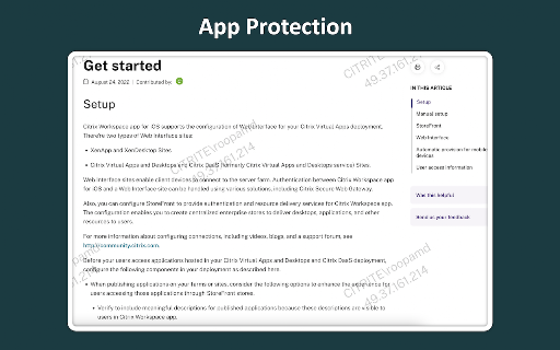 Citrix Web Extension screenshot