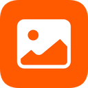 Allegro Image and Video Downloader icon
