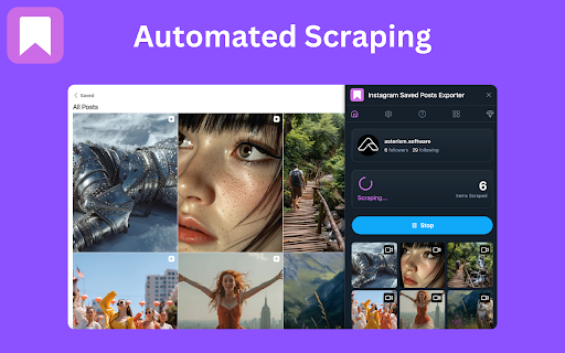 Saved Posts Exporter screenshot