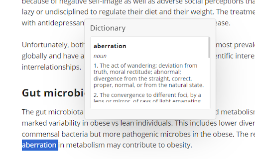 English Dictionary screenshot
