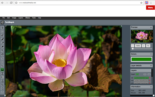 Image editor PaintMagick for photos screenshot