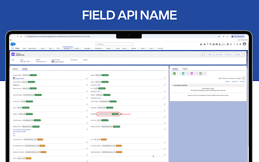 Salesforce Revamp screenshot