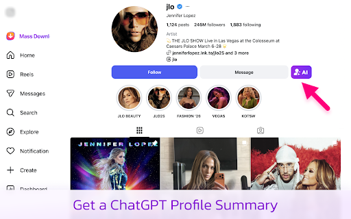 Mass Downloader for Instagram screenshot