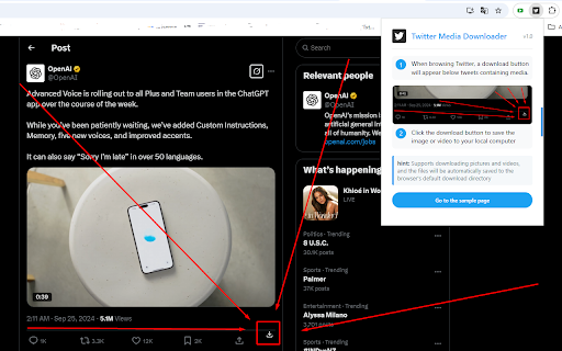 X Twitter Video and Image Batch Downloader screenshot