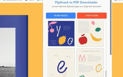 Flipbook to PDF Downloader screenshot