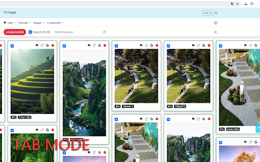 Bulk Image Downloader - HImage screenshot
