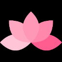 Placify icon