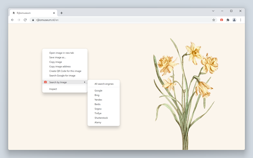 Search by Image screenshot