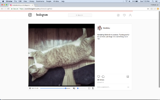Video Scrubber for Instagram screenshot