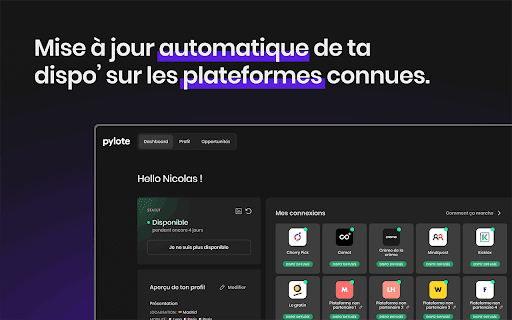 Pylote screenshot