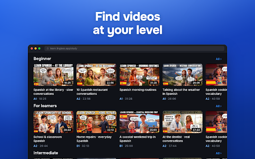 Linglass — Dual Subtitles for YouTube & Netflix screenshot