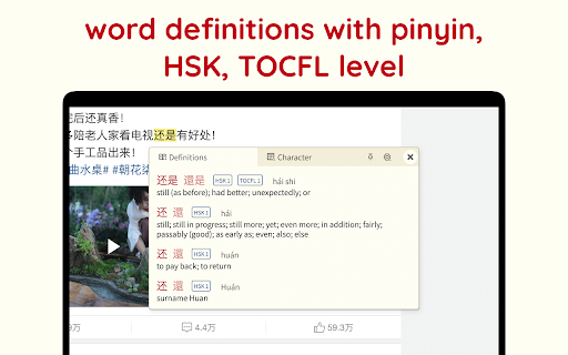 LingLook screenshot
