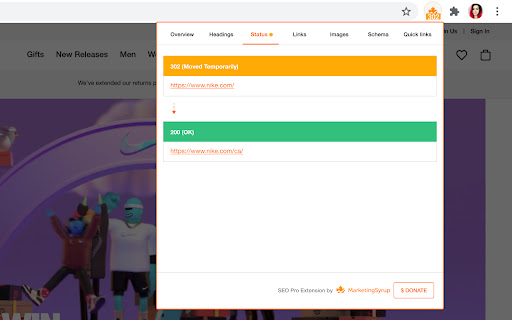 SEO Pro Extension screenshot