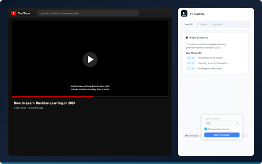 YT Subtitle - Video Summarizer & Translator screenshot