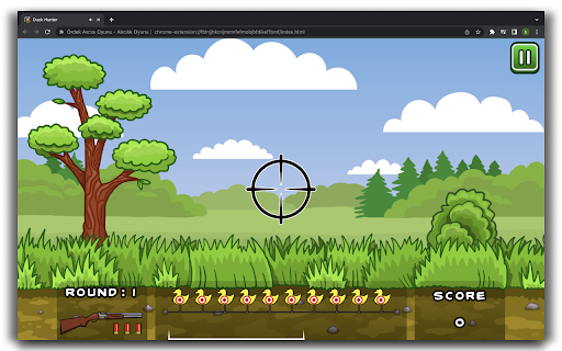 Duck Hunter Game screenshot