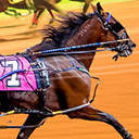 ﻿Premium Horse Racing icon