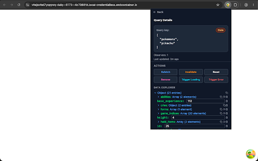 TanStack Query DevTools screenshot