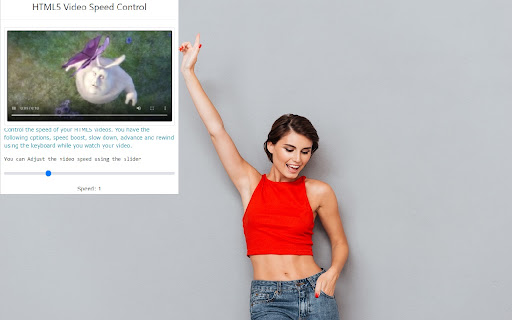 HTML5 Video Speed Control screenshot