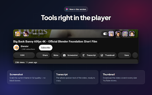 Skins for YouTube player screenshot
