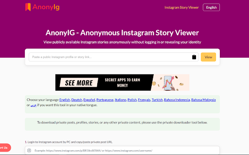 AnonyIG - Anonymous Instagram Story Viewer | View Public Stories Privately screenshot