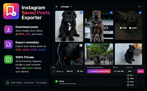 Instagram Saved Posts Exporter screenshot