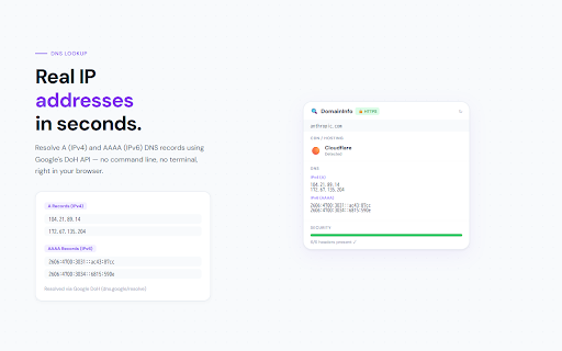 DomainInfo — Tech Stack Inspector screenshot