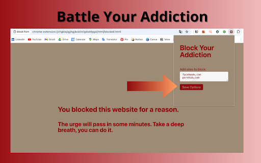 Block Porn screenshot