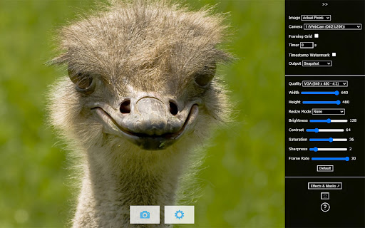 Camera screenshot