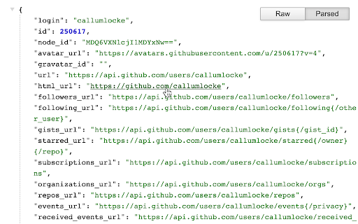 JSON Formatter screenshot