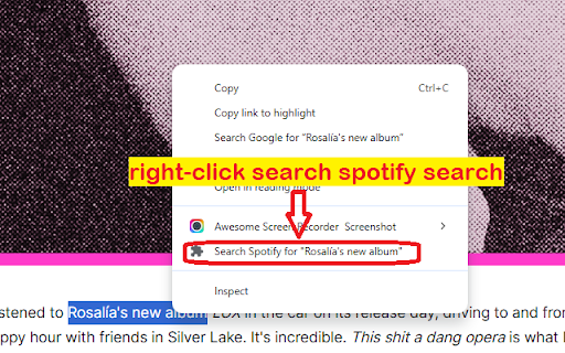 Spotify Web Player Search screenshot